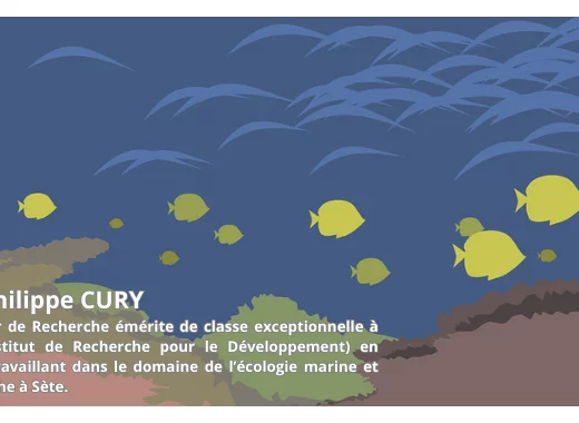 Vidéo - Conférence Tempête sur les écosystèmes marins