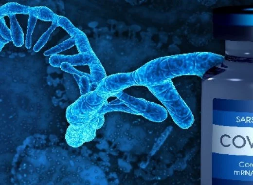 Les vaccins génétiques et le risque de recombinaison virale