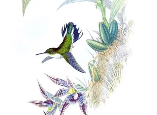 Combien d'énergie pour produire de l'énergie ?