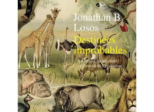 Destinées improbables Le hasard