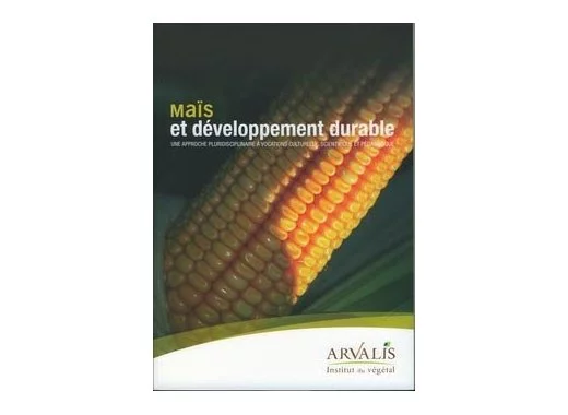 Maïs et développement durable