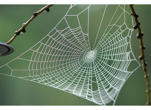 La vie extraterrestre : science et science-fiction