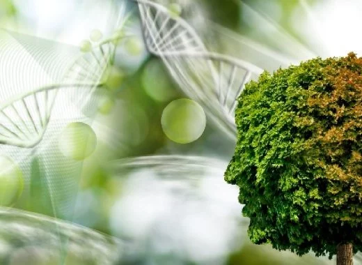 Maladies neurodégénératives : comment expliquer notre impuissance ?