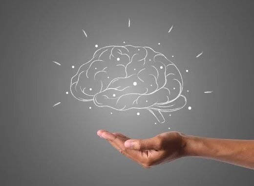 Quelques mythes à propos de notre cerveau