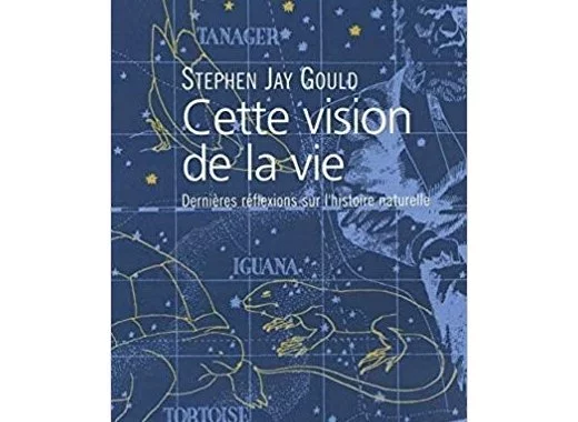 Cette vision de la vie 