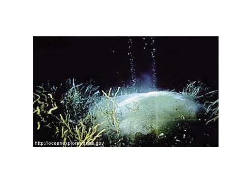 Dégazage sismique, une menace pour le climat ?