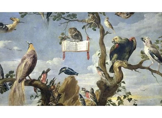 Crise de la biodiversité : vision catastrophiste ou réalité scientifique ?