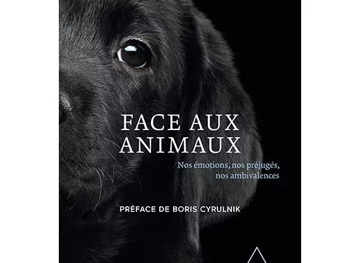 Face aux animaux