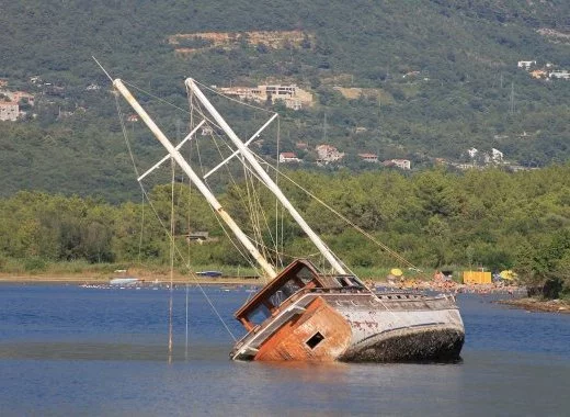 Vers la catastrophe ? Connaître et comprendre pour agir efficacement