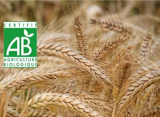 Dix questions sur l'agriculture biologique