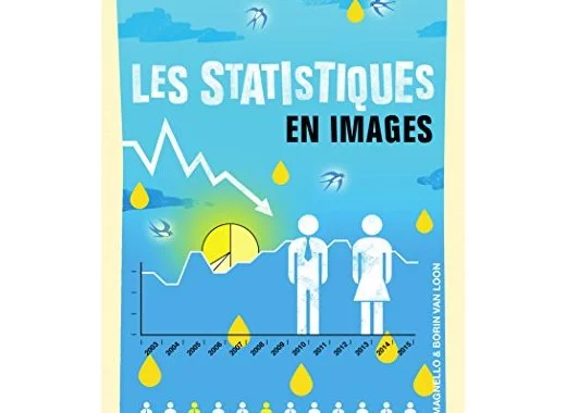 Les statistiques en images