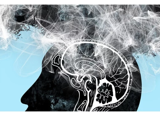 Dépolluer la science : responsabilité des institutions ou des lanceurs d'alerte ?