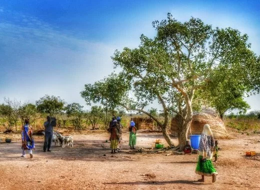 Agriculture biologique et sécurité alimentaire mondiale