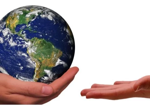 Les éditeurs et le segment de marché « développement durable »