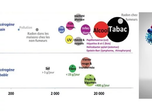 Fréquence et causes des cancers en France