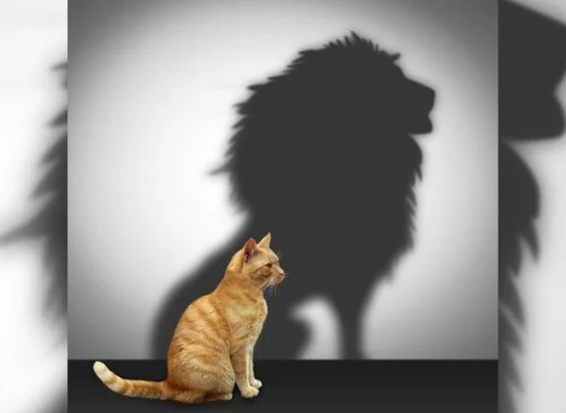 Pourquoi les résultats des recherches en santé sont-ils exagérés dans les médias ?