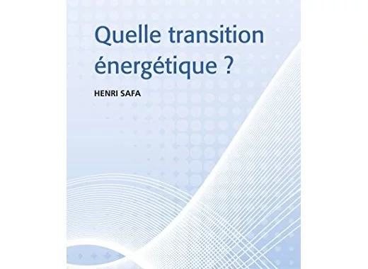 Quelle transition énergétique ?