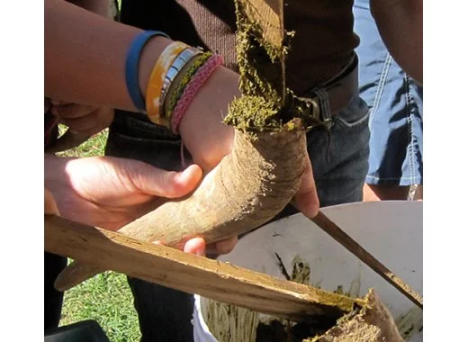 Vin biodynamique, vin bio : quelle différence ?