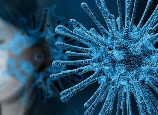 Ce que nous apprend la crise du coronavirus