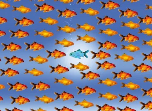 Une fausseté répétée mille fois