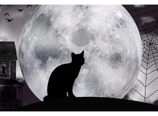 Caliban et la sorcière, ou l'Histoire au bûcher